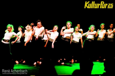 KP 2015 04082